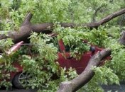 Страшный ураган в Москве убил уже 16 человек