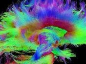 Ученые нашли физический источник человеческого сознания