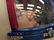 Российские ученые придумали, как в космосе выращивать морковку