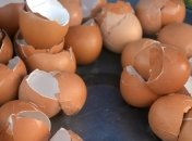 10 причин, почему не стоит выбрасывать яичную скорлупу 