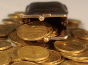 Золотовалютные резервы Нацбанка упадут до $24 млрд