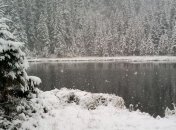 Карпаты занесло снегом (Видео)