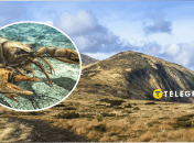 На горі Говерла свиснув рак