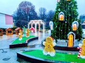 Где в Украине установили самую дорогую елку и как она выглядит (фото)