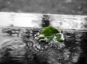 Осень в Украину придет рано: синоптики предупредили о резком похолодании в начале сентября