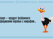 Закончи день весело: вечерние анекдоты 4 апреля