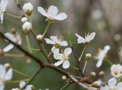 Немного похолодает: синоптик дала прогноз погоды до конца недели