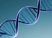 Генетики уверены: они в шаге от полного изменения генома