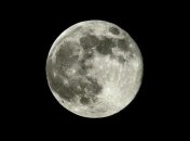 Кто такие телефонные лунатики?