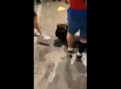 Полсотни задержанных фанов и два десятка пострадавших полицейских - последствия финала Евро-2020 для Лондона