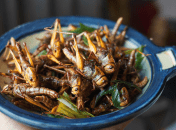 Крылья и ножки – более жесткая часть саранчи