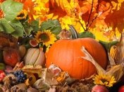 Простые правила питания осенью