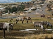 Ученые выяснили причину последнего оледенения