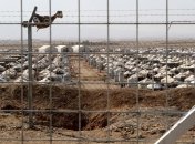 Журналисты в Киркуке попали под снайперский обстрел