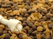 Жительница Нью-Йорка неделю просидела на собачьем корме