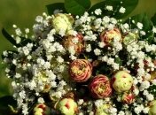 Самые лучшие поздравления с днем рождения на 9 сентября