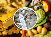 Ціни на овочі і фрукти