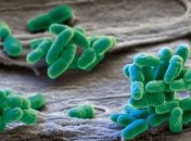 Наночастицы справились с бактериями при инфракрасном свете за пару секунд