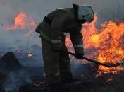У Польщі шостий день гасять пожежу в національному парку (Відео)