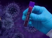 У Франції - 352 випадки інфікування коронавірусом за добу, 668 осіб одужали