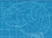 Ученые выявили участки мозга, ответственные за составление рассказов