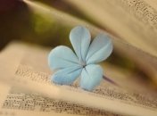 Знаменательные события в истории: 18 марта 2017 года