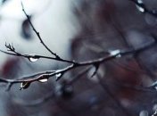 Погода в Украине на 26 февраля: в некоторых областях - дождь с мокрым снегом