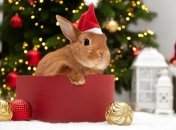 Подборка ярких открыток и поздравлений с наступающим Новым годом-2023