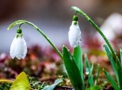 Прогноз погоды в Украине на 9 апреля: дожди с грозами