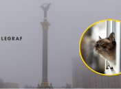 Погода в Киеве