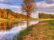 Прогноз погоды в Украине на 2 ноября: пройдет дождь