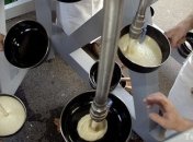 Французы хотят купить производителя плавленых сырков "Дружба"