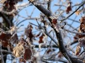 27 января - приметы и обряды в Нинин день