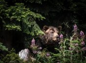 Какой сегодня праздник - Никифоров день