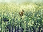 "В высокой траве" по Стивену Кингу: трейлер хоррора (Видео)