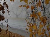 Прогноз погоды на 16 ноября в Украине: во всех регионах дождливо 