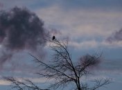 Последний день февраля в Украине будет сухим и облачным: прогноз синоптиков