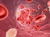 Стало известно, как именно холестерин влияет на наше здоровье