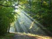 12 июля. Приметы дня