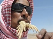 Самые экстремальные блюда со всего мира (Фото)