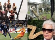 Что мы искали в поиске Google на прошлой неделе (18.02 - 24.02)