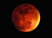 На Марсе планируют выращивать виноград 