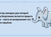 Не жалей улыбки: позитивные анекдоты 3 февраля