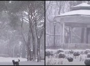 На Турцию обрушились мощные снегопады, Стамбул ожидает повторения зимы 1987 года (видео)