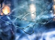 Какой праздник 8 декабря: народные приметы и запреты