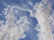 В Україні буде вітряно і сніжитиме: прогноз погоди на 12 лютого