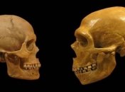 Ученые доказали связь между современным человеком и неандертальцем