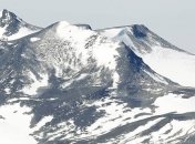 Погодные аномалии могут вызвать вымирание экосистемы в Арктике