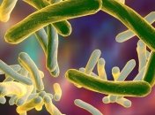 Новая вакцина от туберкулеза создана методом генной инженерии