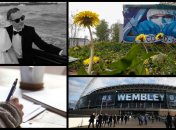 Итоги дня 18 мая: Вопрос о запуске транспорта в Украине и ВНО 2020